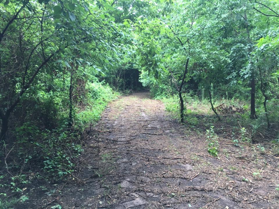 trails1