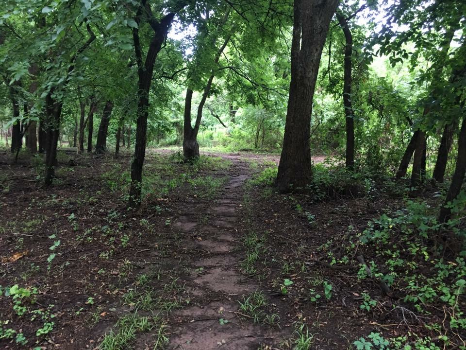 trailsAlbum